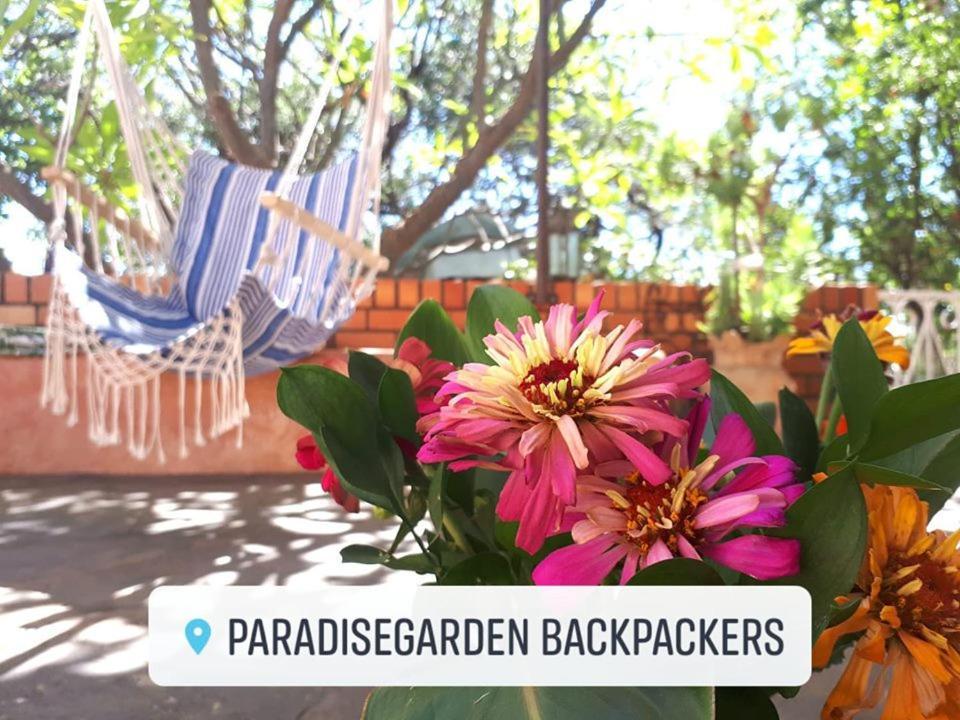 Paradisegarden Backpackers Windhoek Exterior foto